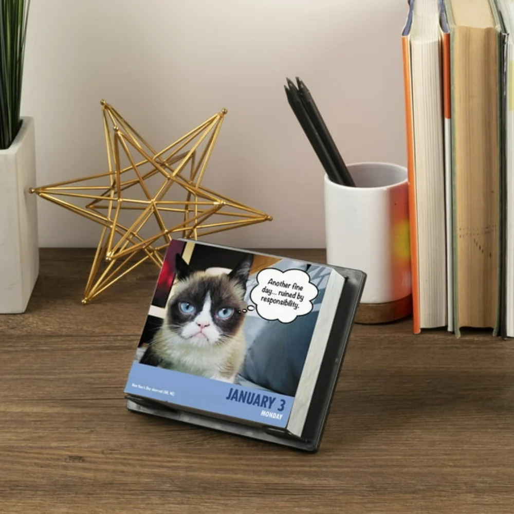 Grumpy cat 2022 calendar